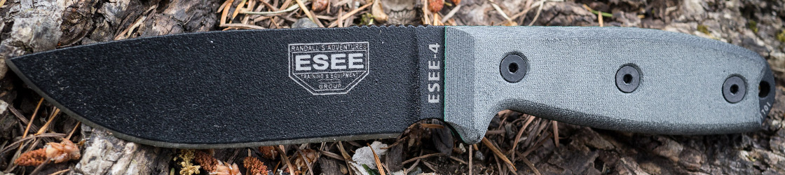 1120x250_Esee4