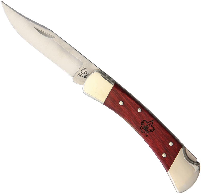 Buck Folding Hunter Boy Scout