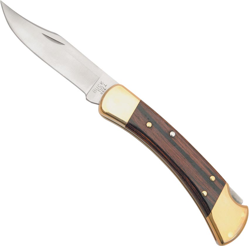 Buck Folding Hunter 110
