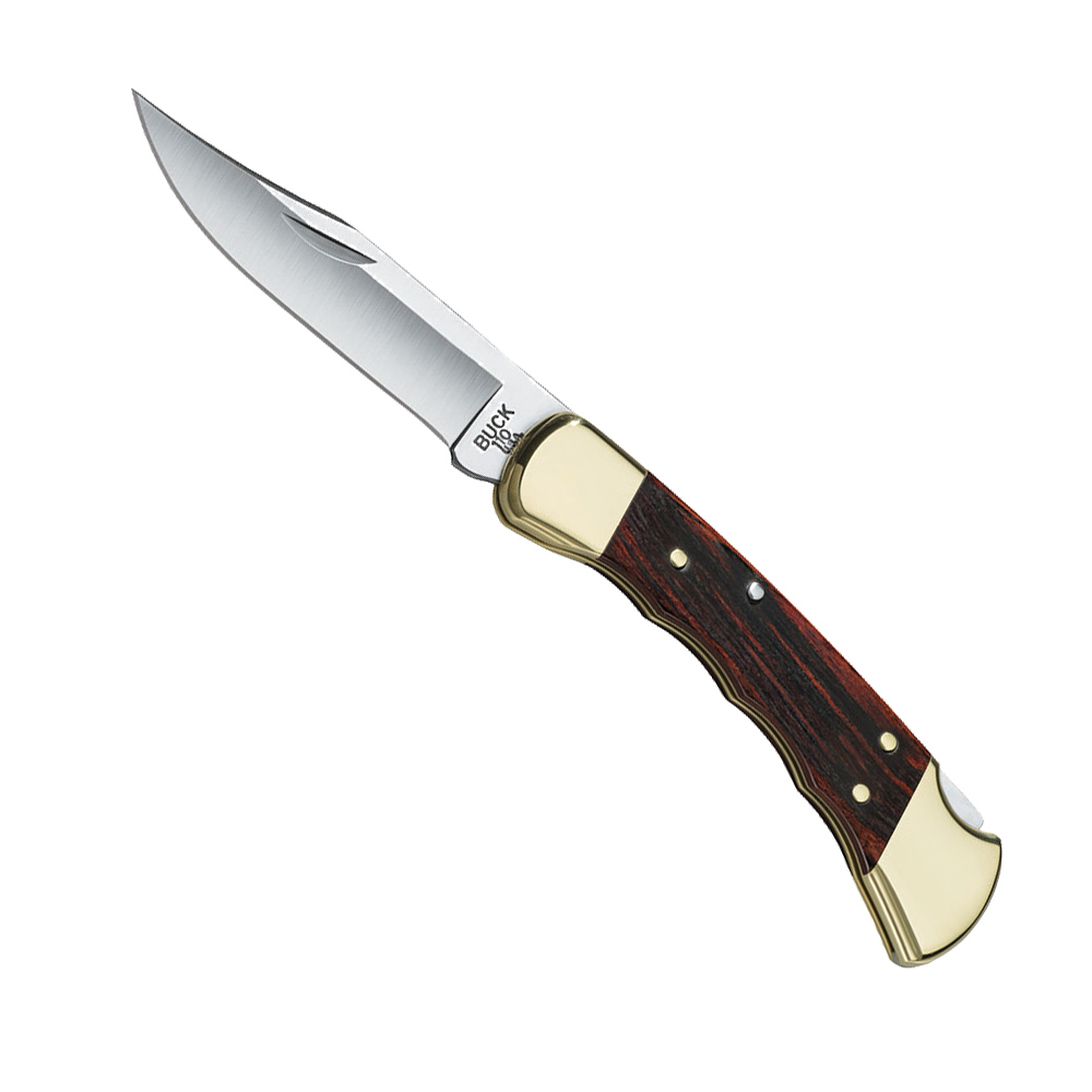 Buck 110FG Folding Hunter